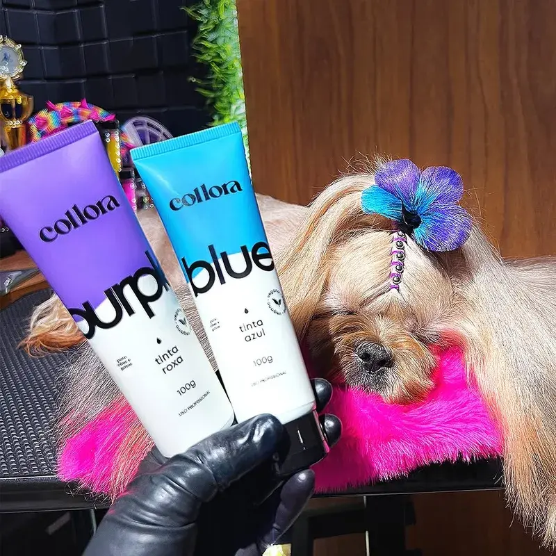 Pet com coloração Collora, resultado 5