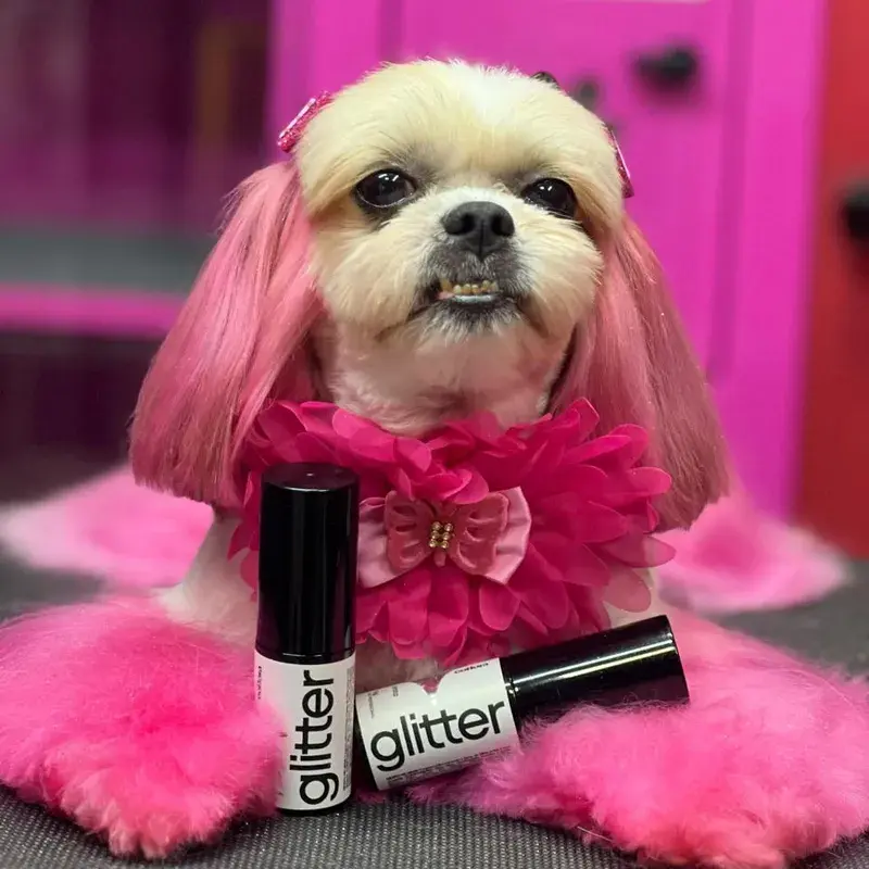 Pet com coloração Collora, resultado 6